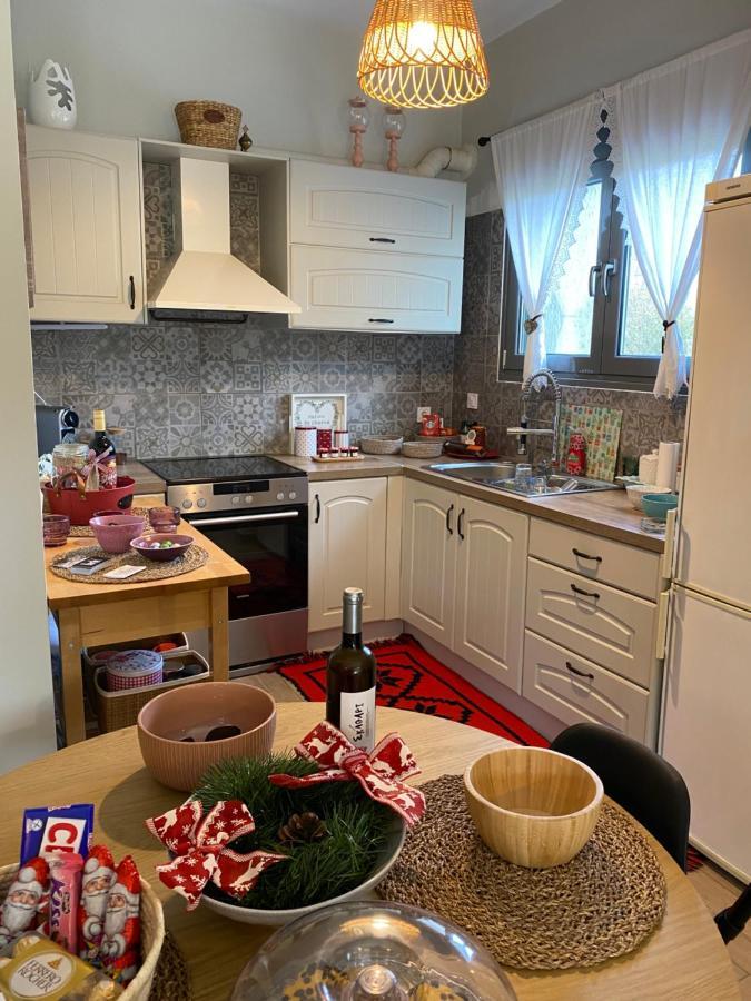 Stellas Guesthouse Near Arachova Stírion 외부 사진
