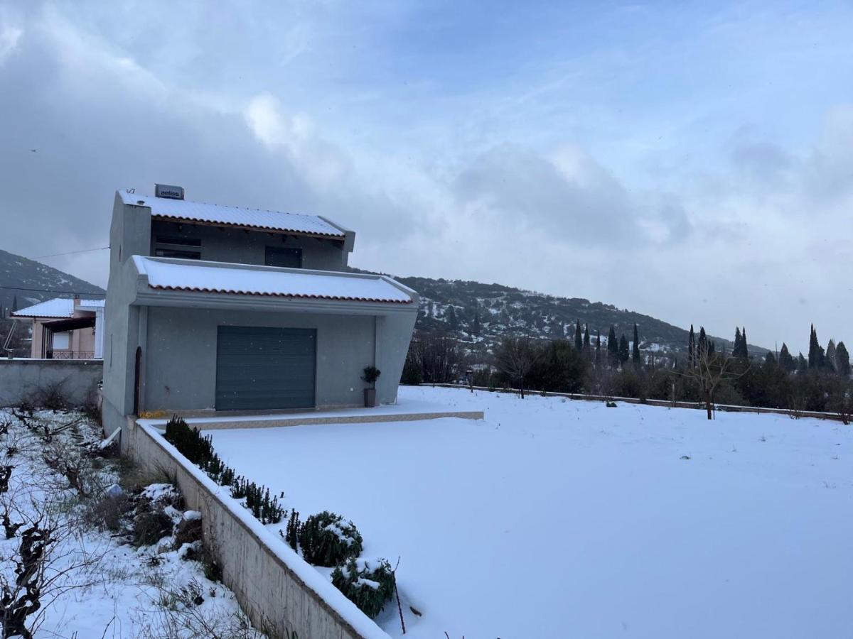 Stellas Guesthouse Near Arachova Stírion 외부 사진